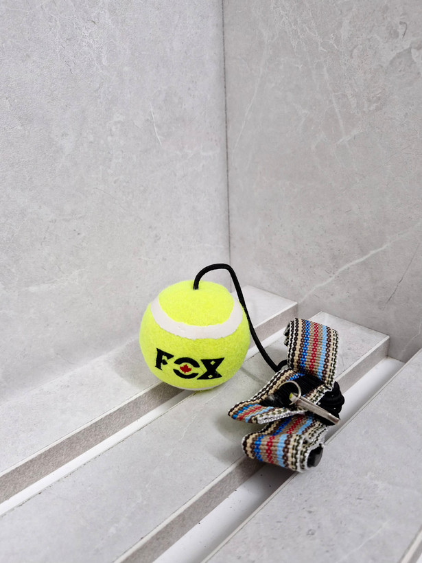 هدبال FOX
